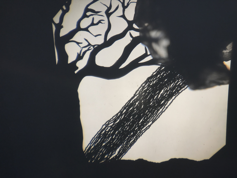 de tuinvrouw en de dood: illustratie